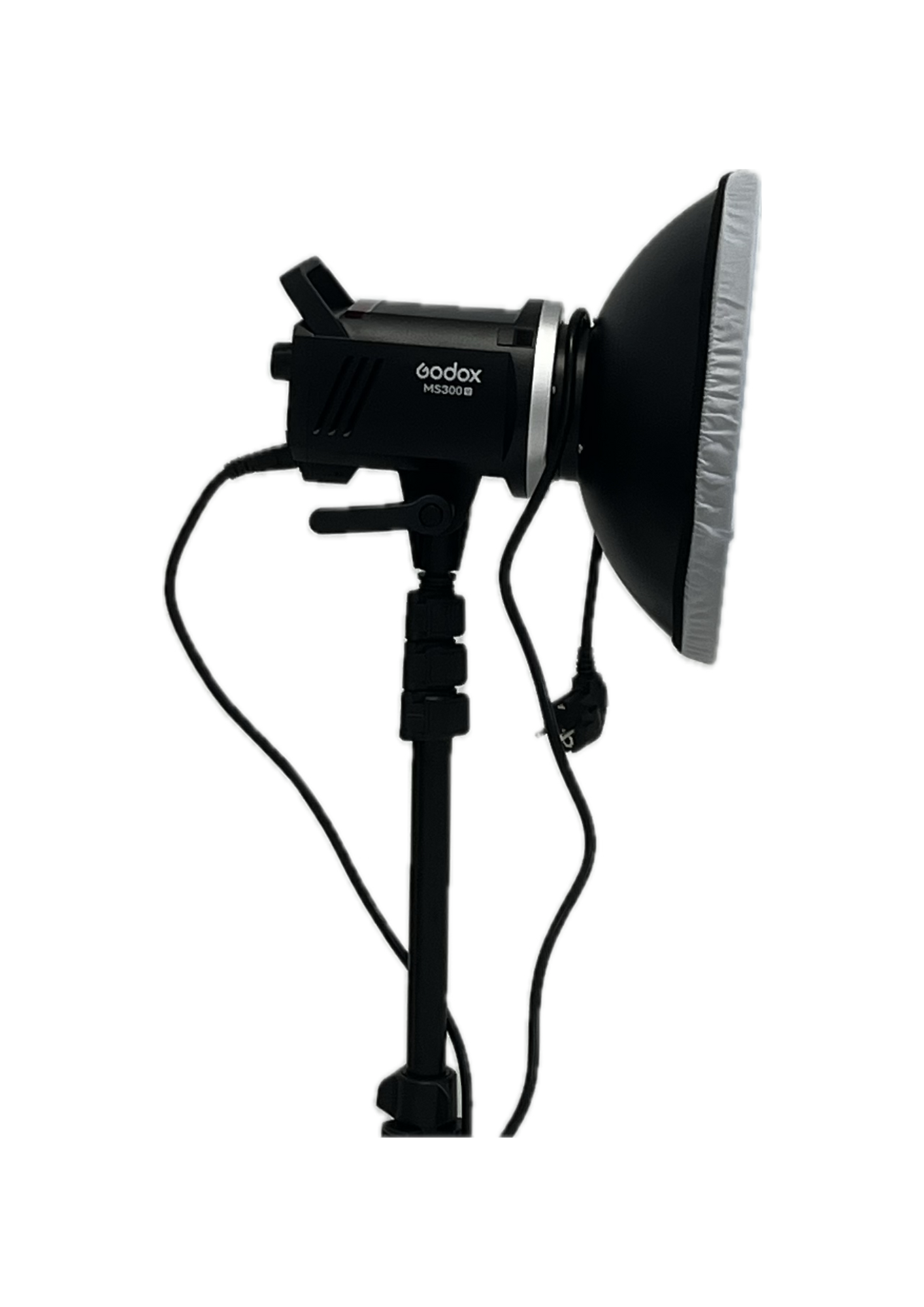 Godox MS300II