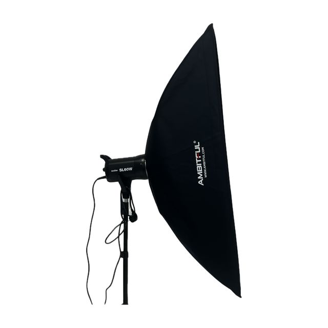 Godox SL60W